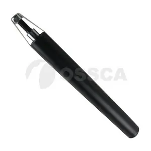 10999 OSSCA