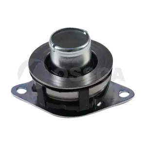 12947 OSSCA
