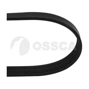 OSSCA 20579