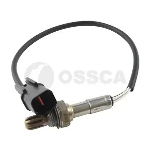 21155 OSSCA