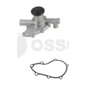 09031 OSSCA