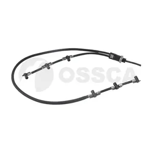 59780 OSSCA