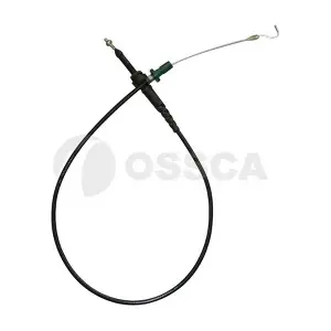 03062 OSSCA