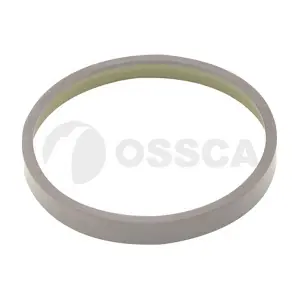 62173 OSSCA