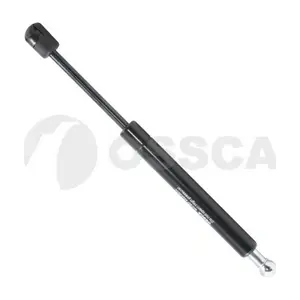 03920 OSSCA