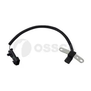 33528 OSSCA