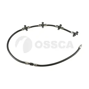 69113 OSSCA