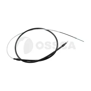 49810 OSSCA