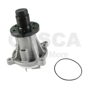54980 OSSCA