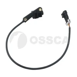 13681 OSSCA
