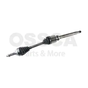 23429 OSSCA