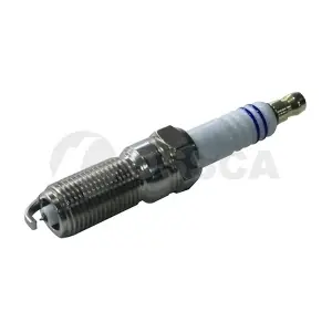 76485 OSSCA