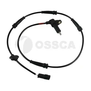 31219 OSSCA