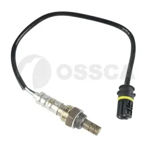 51273 OSSCA