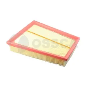09828 OSSCA