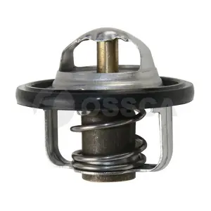 09540 OSSCA