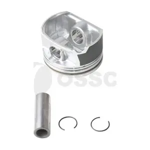 06D107066AA VW