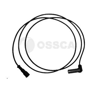 13062 OSSCA