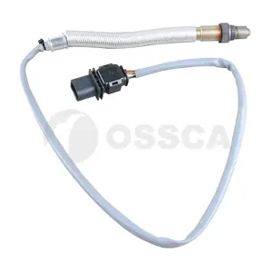 33602 OSSCA