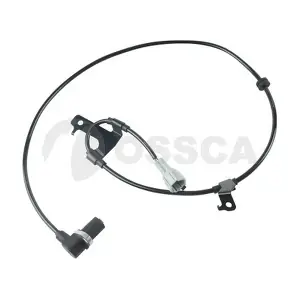 21295 OSSCA