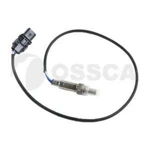 42207 OSSCA