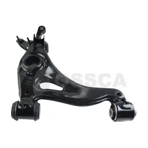 40999 OSSCA