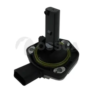 13081 OSSCA