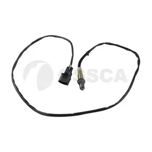 OSSCA 16339