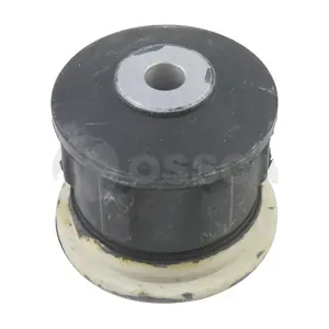 18293 OSSCA