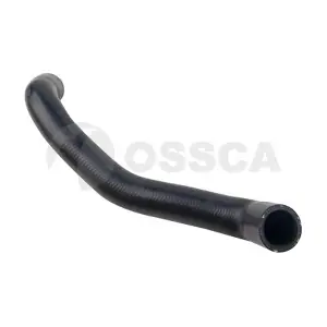 33318 OSSCA