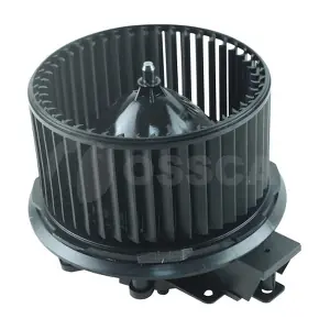 77350 OSSCA