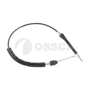 24629 OSSCA