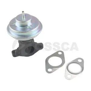 48771 OSSCA