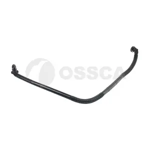 08024 OSSCA