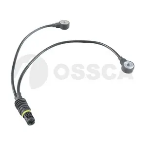 60132 OSSCA
