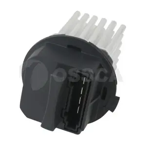 24637 OSSCA