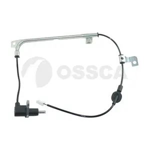 30364 OSSCA