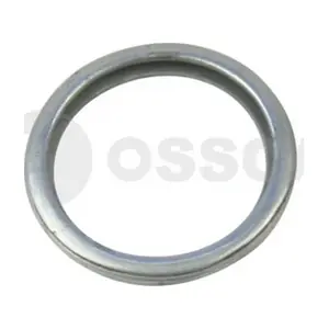 21553 OSSCA