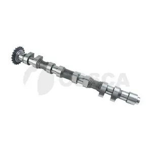 24798 OSSCA