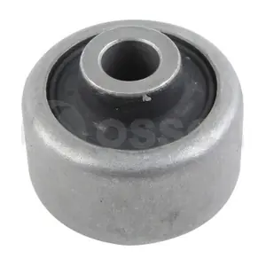 53897 OSSCA