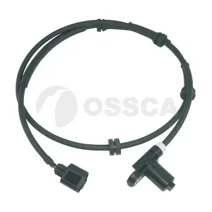 06537 OSSCA