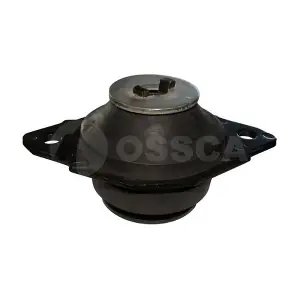 00691 OSSCA