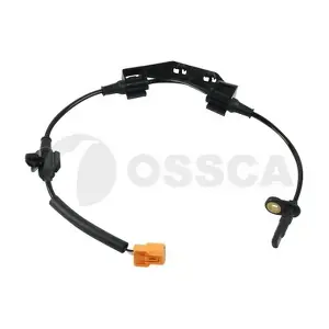13124 OSSCA