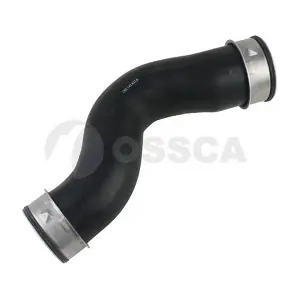 22460 OSSCA