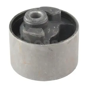 06134 OSSCA