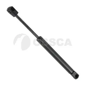 OSSCA 09594