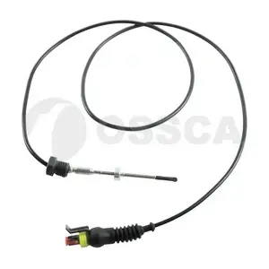49415 OSSCA