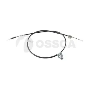 61096 OSSCA