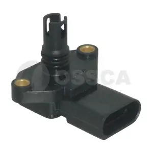 01407 OSSCA