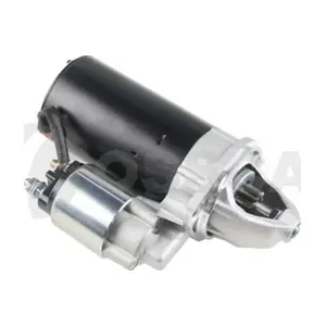 OSSCA 12171